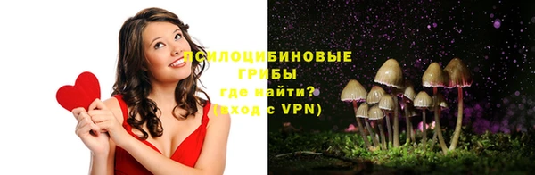 тгк Алексеевка