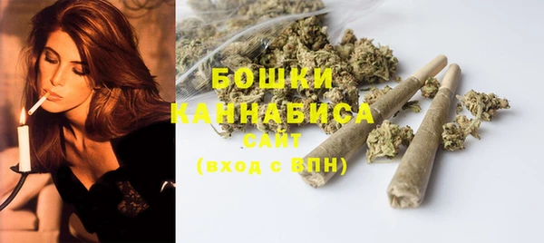 Альфа ПВП Пересвет