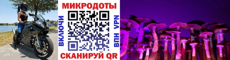 Псилоцибиновые грибы прущие грибы  ссылка на мегу tor  Шацк 